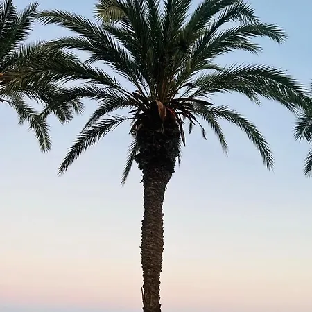 La Caleta Apartment Torrevieja